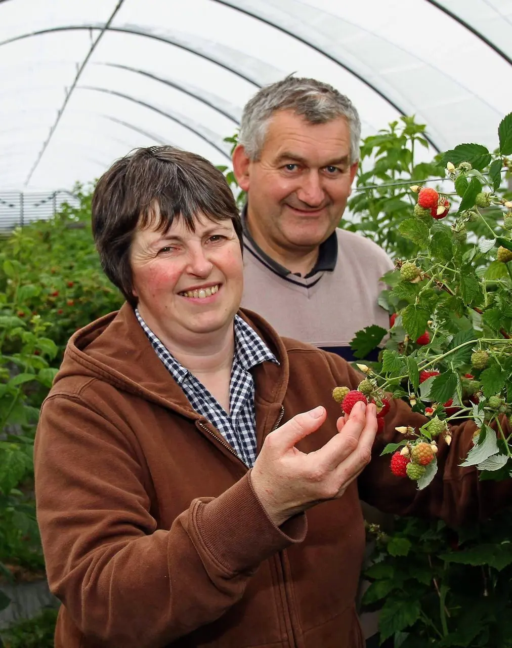 Caithness Summer Fruits photo 2
