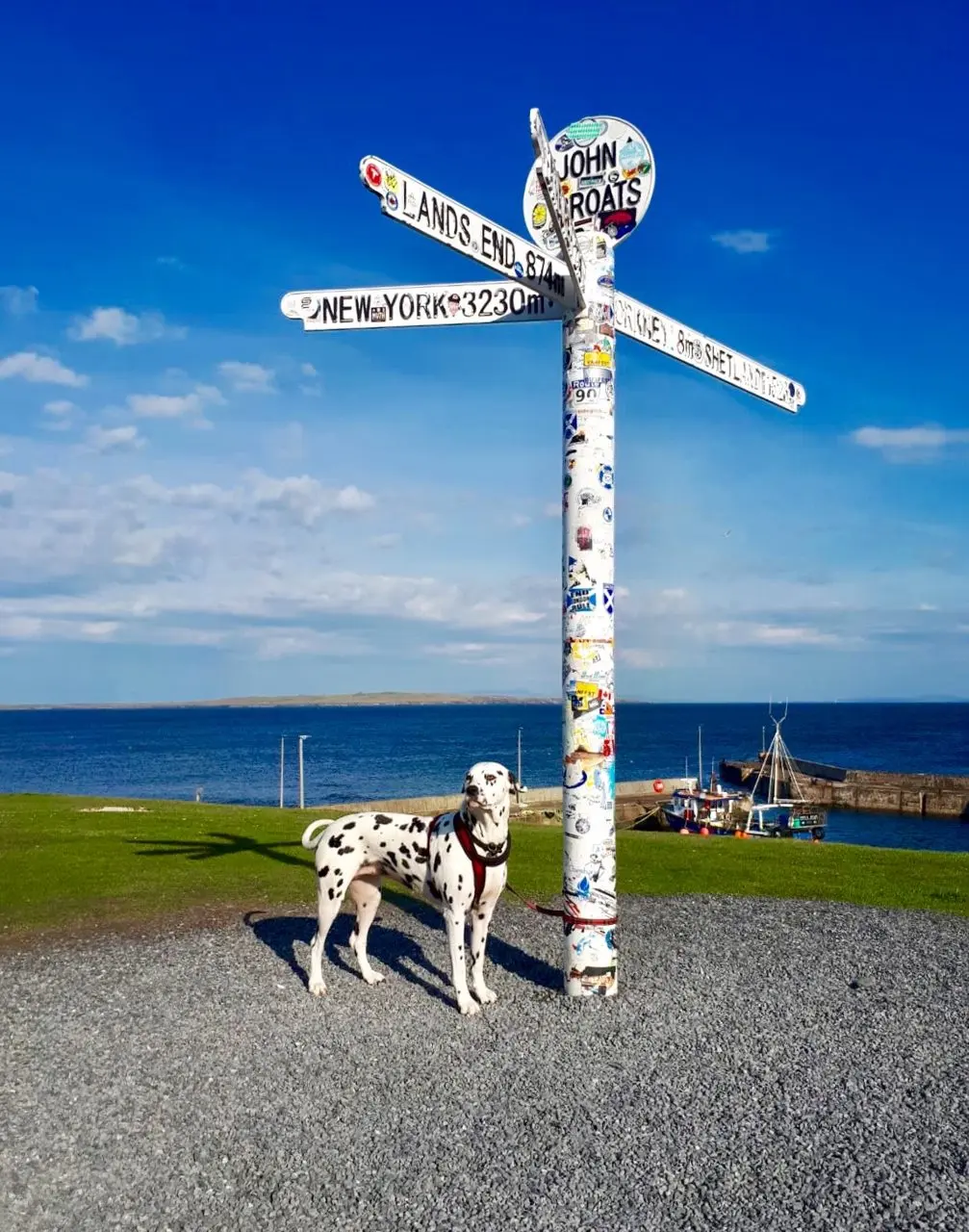 Puffin Croft photo 4