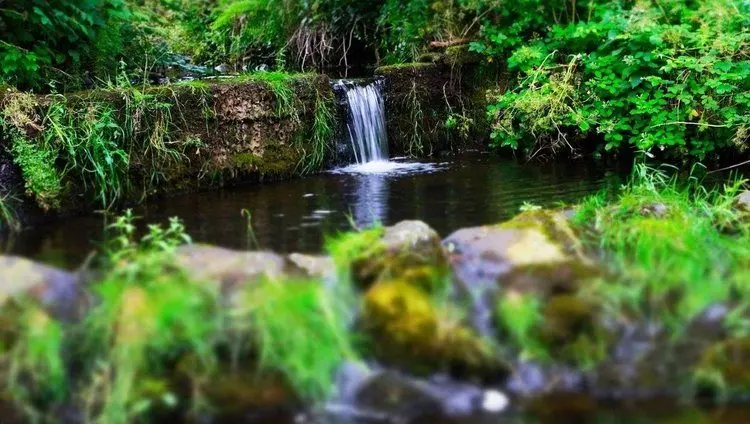 Ballylagan Organic Farm photo 2