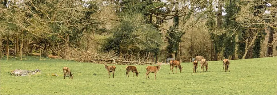 Pheasants Hill Farm photo 1