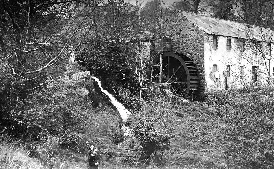 The Dairy Gleno photo 2