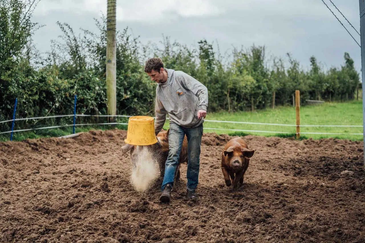 Rosemount Cottage Farm Meats main photo