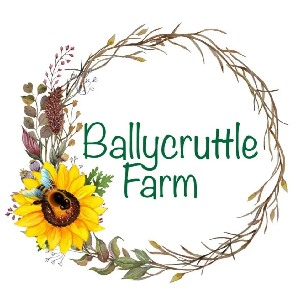 Ballycruttle Farm Refill Shop photo 2