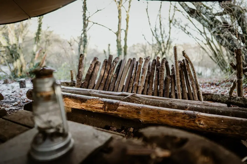 Fodder in the Woods photo 2