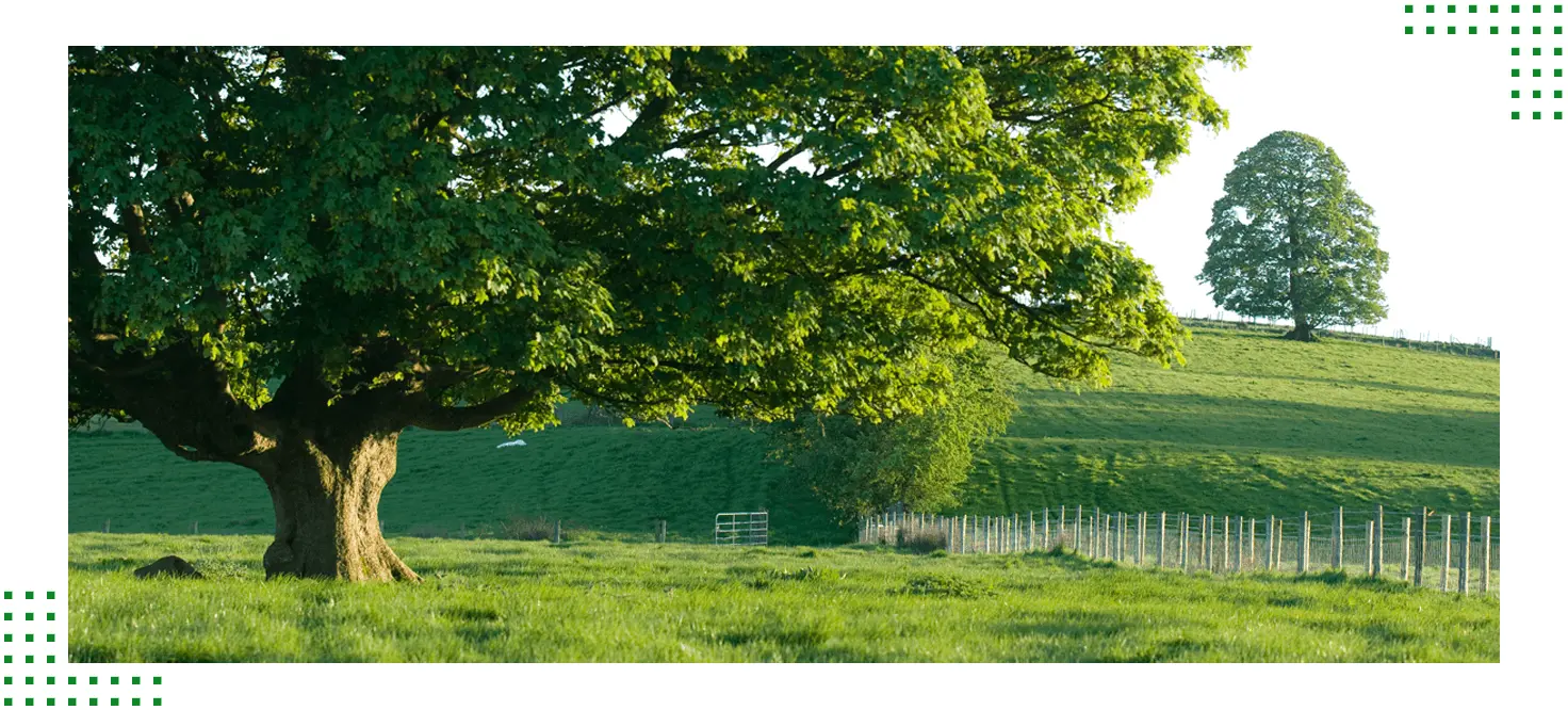 Cloughbane Farm main photo