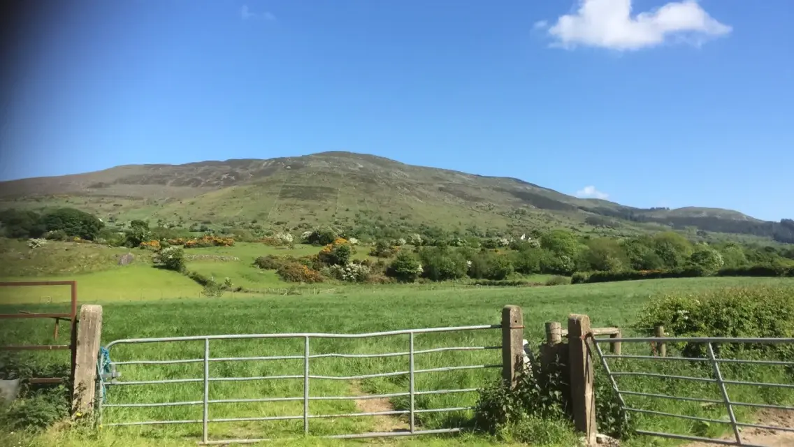 Clarkhill Farm photo 4