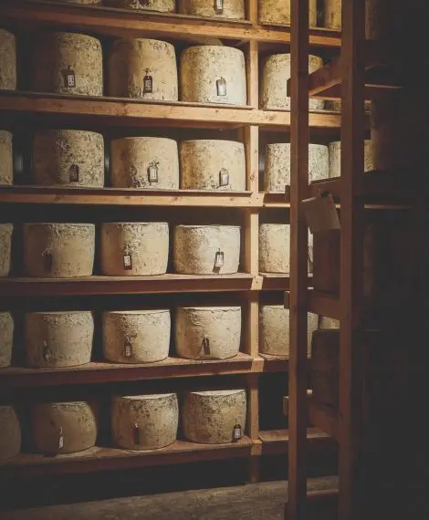 Isle of Mull Cheese - Glass Barn Cafe & Shop photo 1