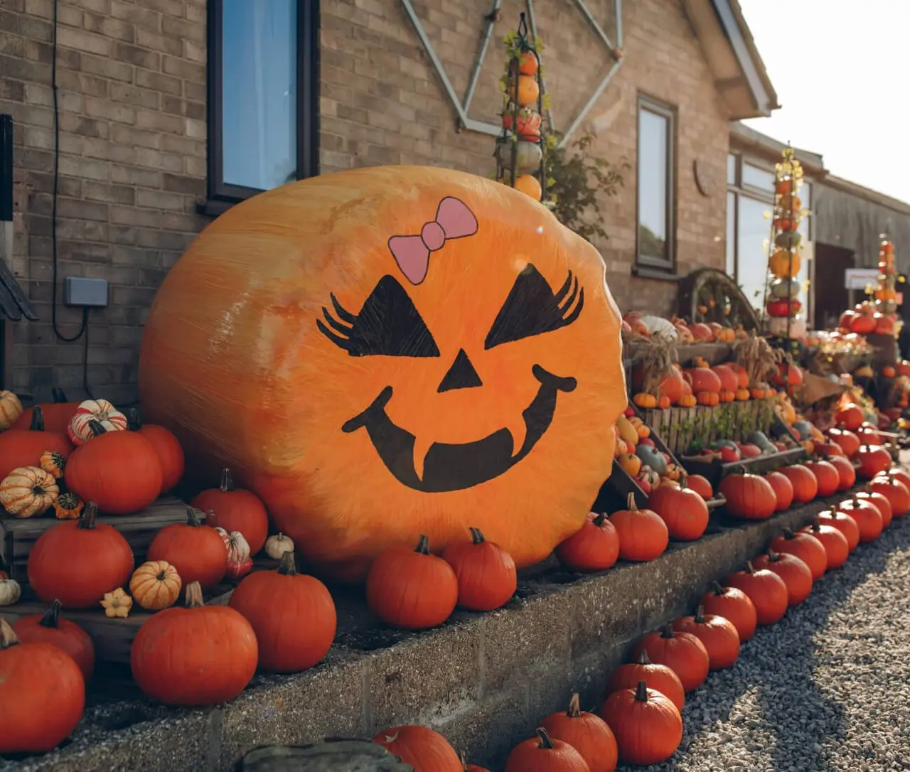 The Pumpkin Patch at Bewholme photo 2