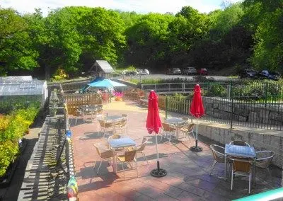 Park Farm Shop and Tearoom photo 4