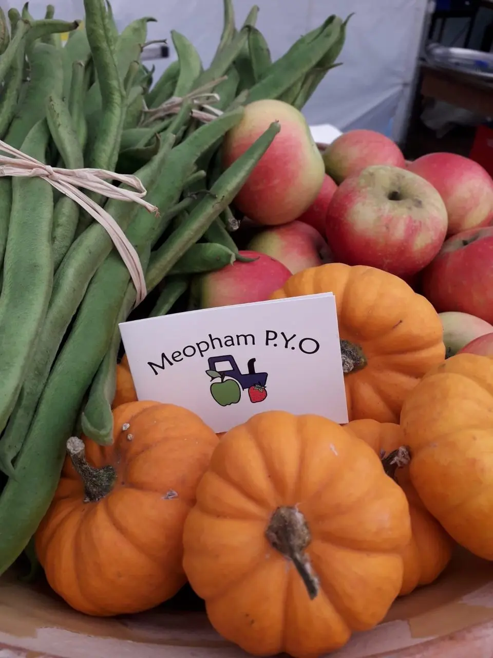 Meopham PYO photo 1