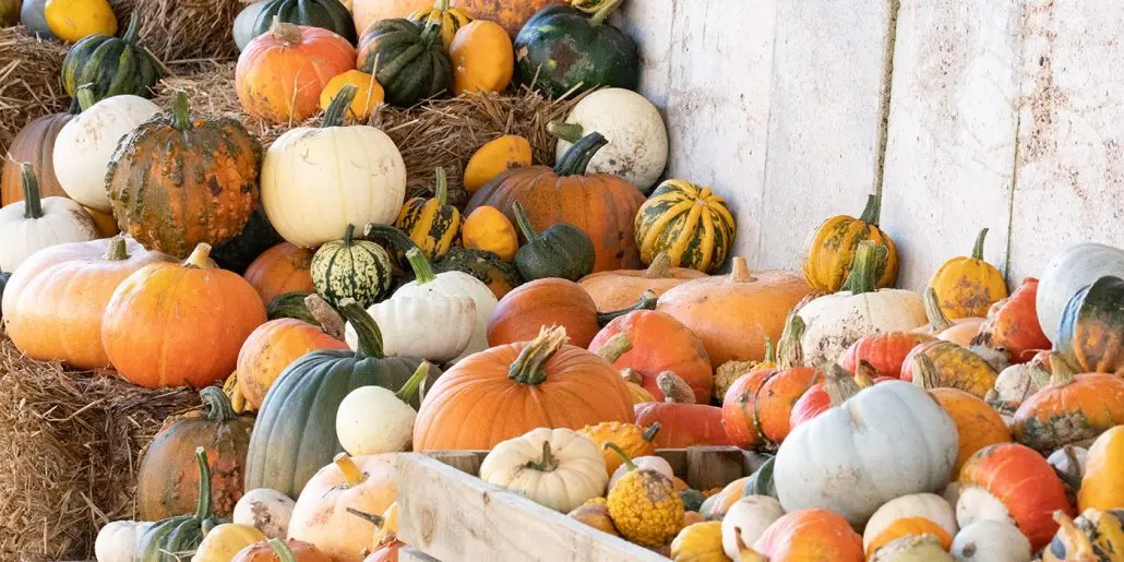 Cattows Farm photo 3