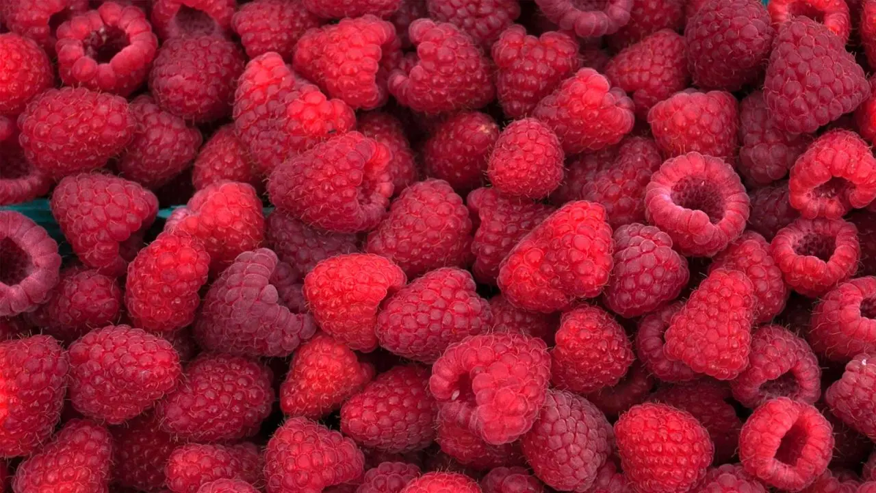 Wymeswold Fruit Farm photo 1