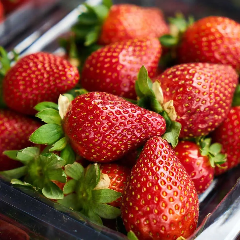 Wymeswold Fruit Farm photo 2