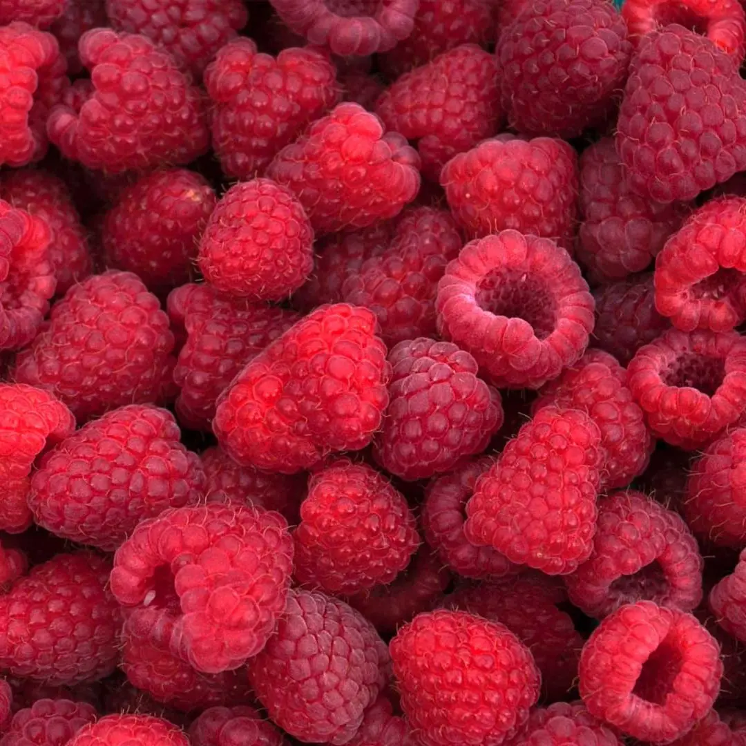 Wymeswold Fruit Farm photo 4