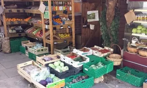 Pick's Organic Farm photo 2