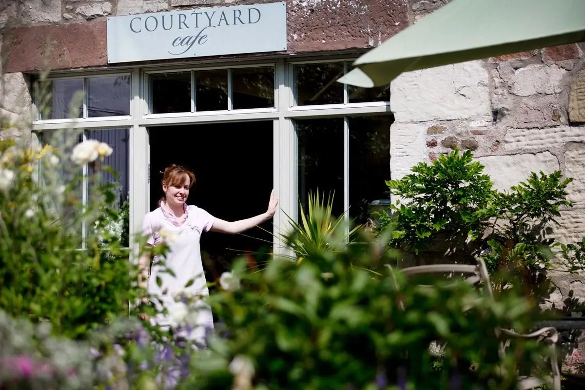 Knockraich Farm (Katy Rodger's Artisan Dairy and Courtyard Cafe) photo 2