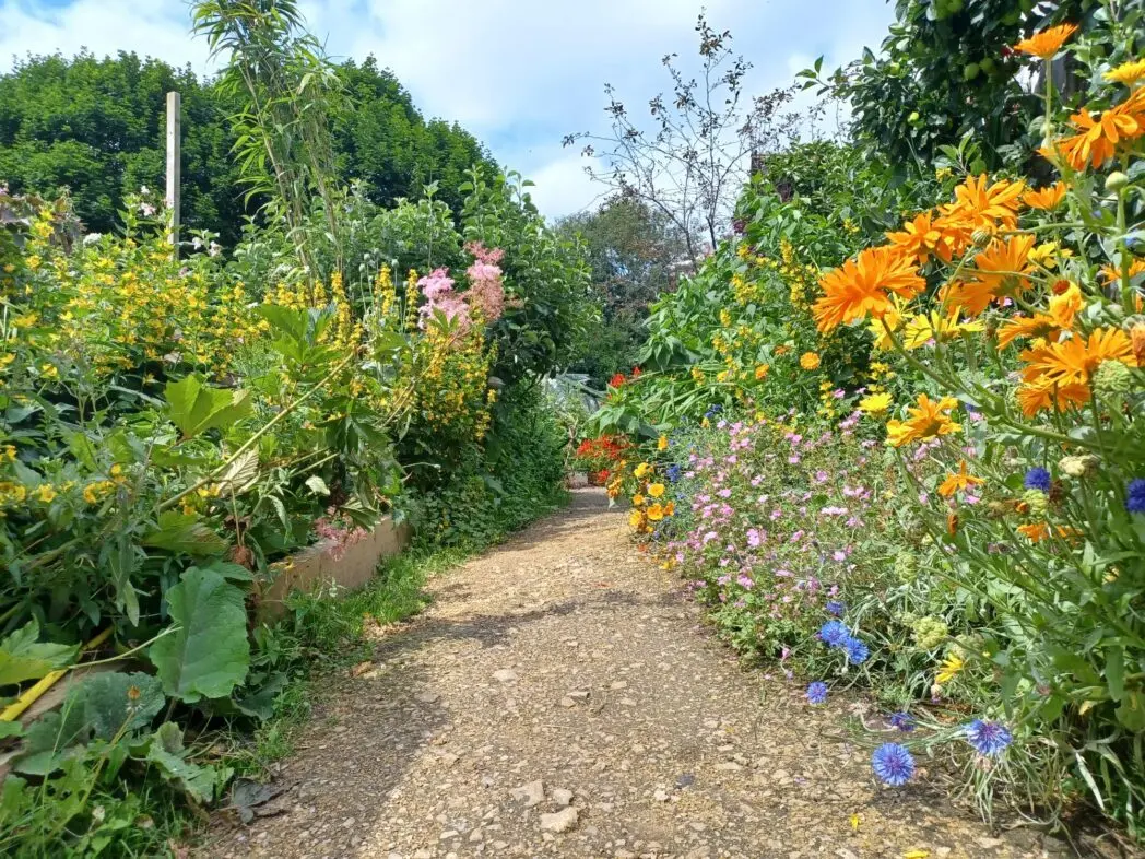 Ouseburn Farm photo 1