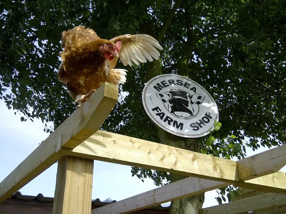 Mersea Farm Shop & Country Stores main photo
