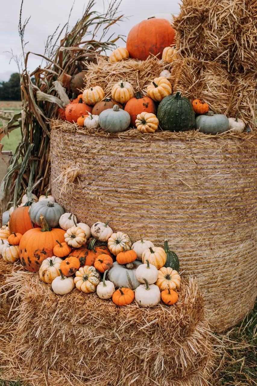 Baydale Farm photo 1