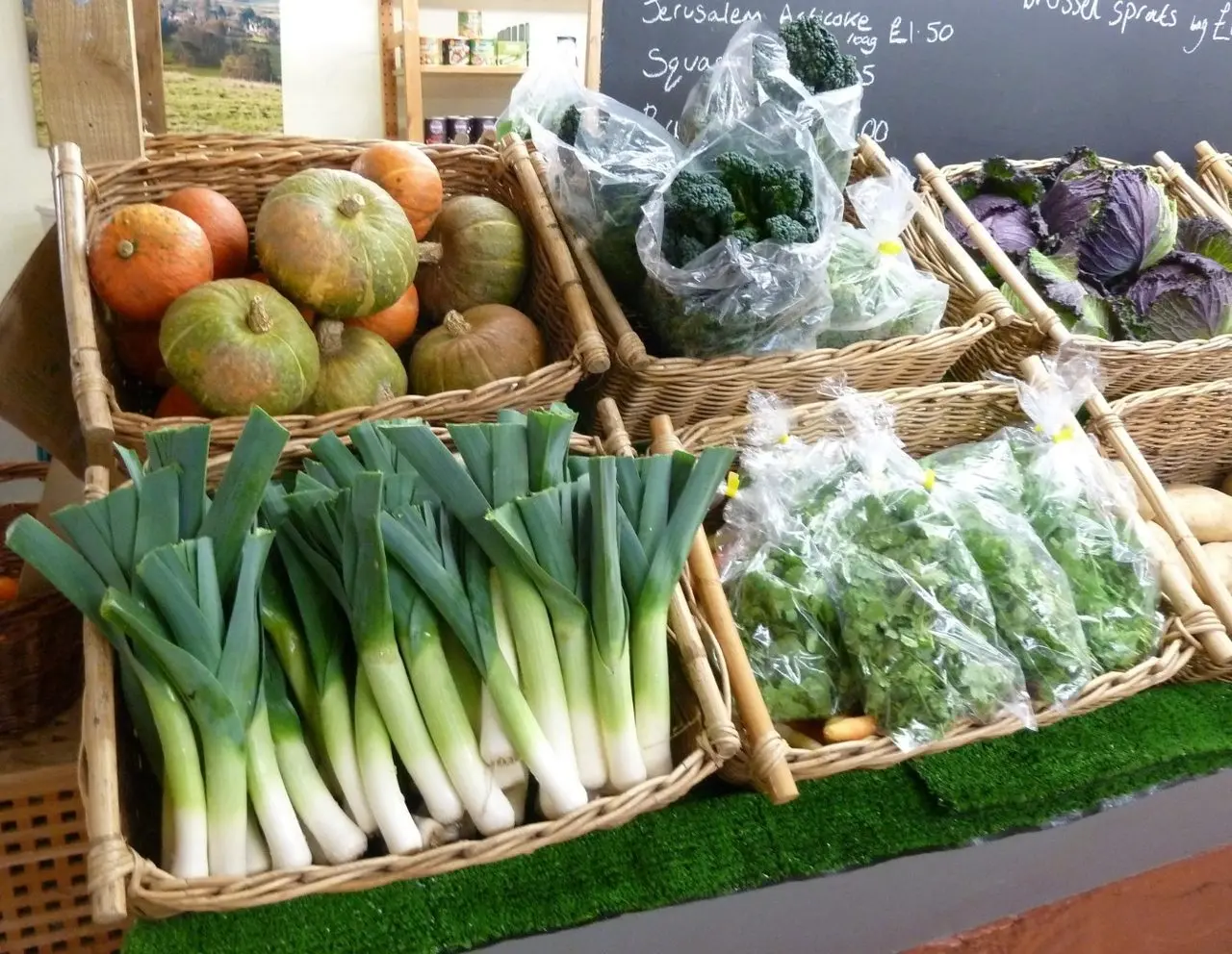 Gold Hill Organic Farm Shop photo 1