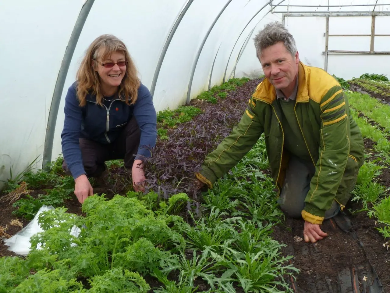 Gold Hill Organic Farm Shop photo 3