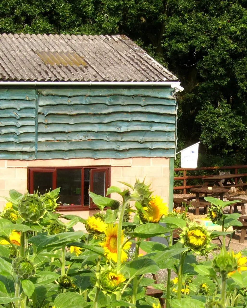 Kinver Edge Maize Maze and Farm Shop