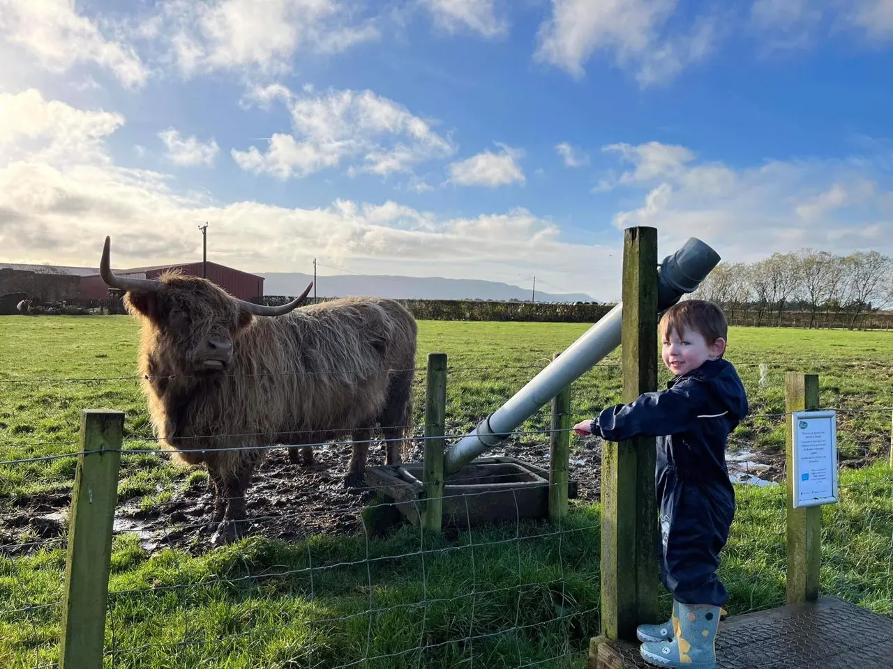 Briarlands Farm main photo