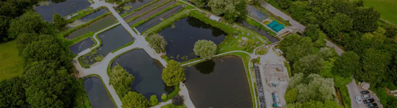 Bibury Trout Farm main photo