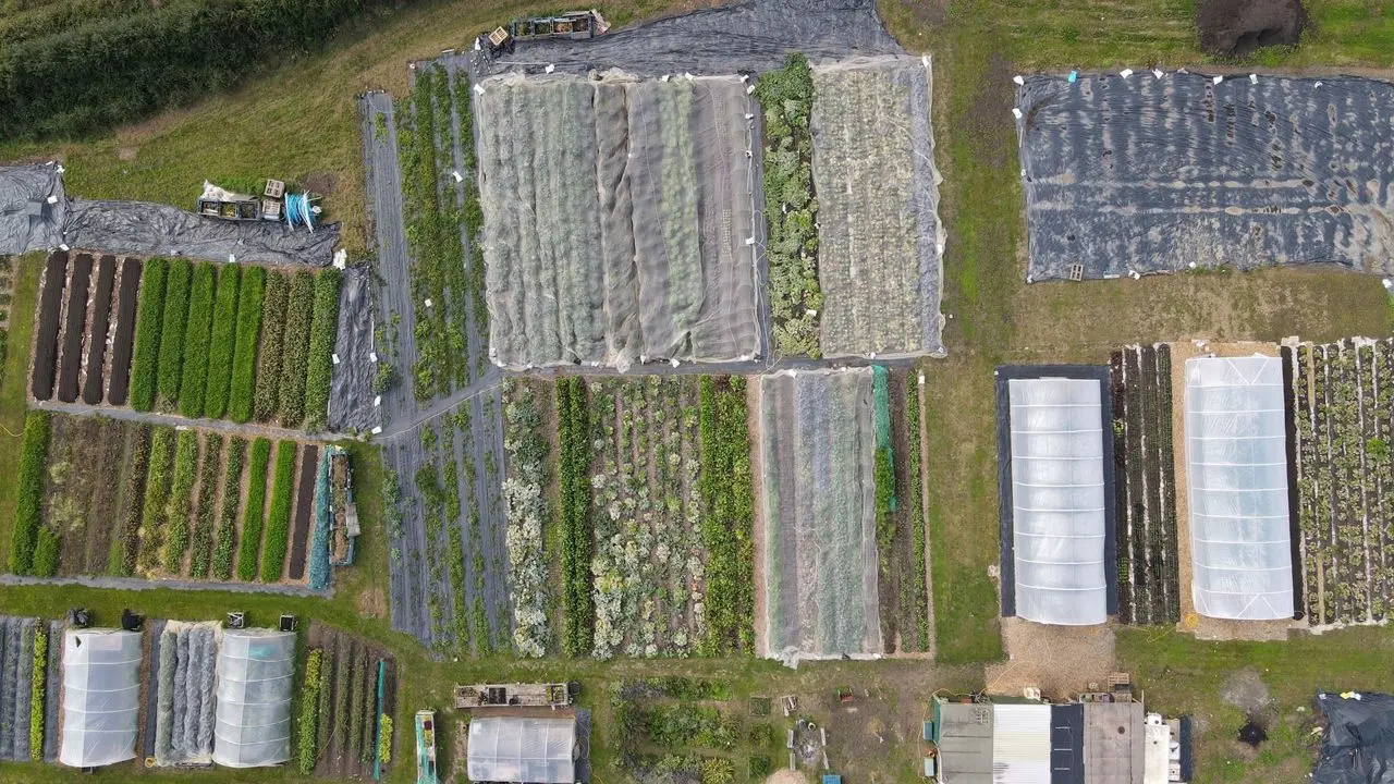 Frith Farm photo 2