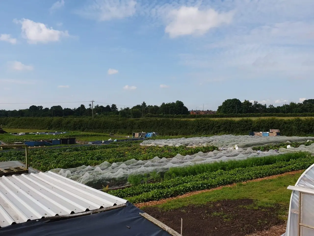 Frith Farm photo 3
