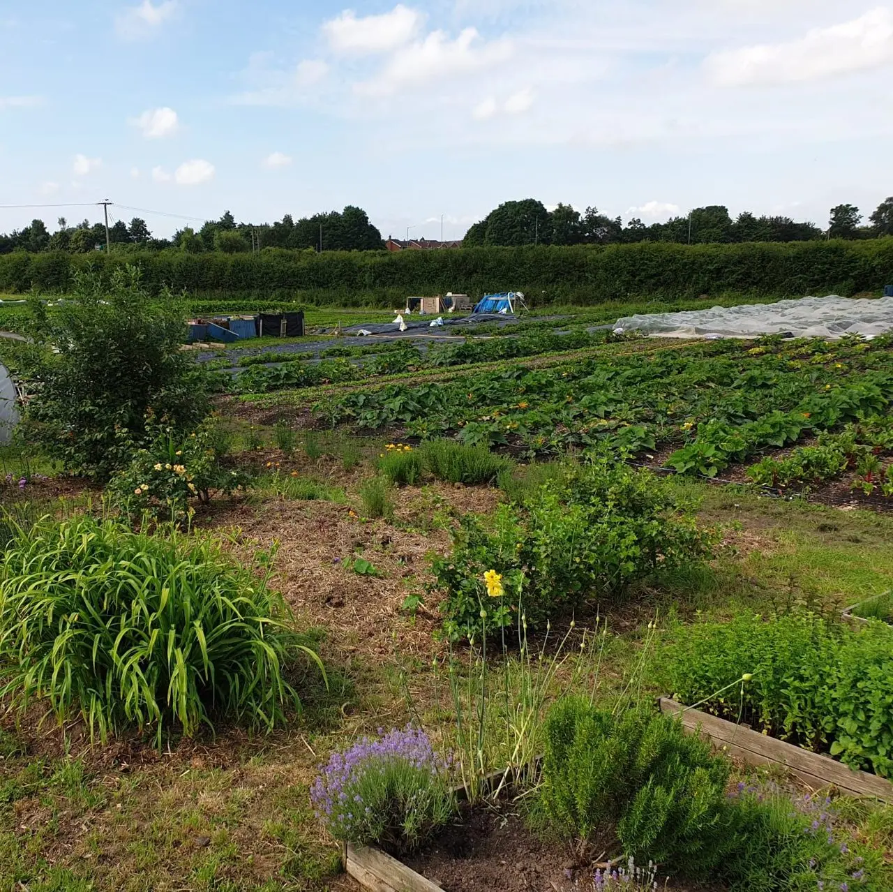 Frith Farm photo 4