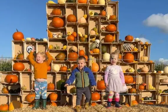Sandy Bottom Farm photo 1