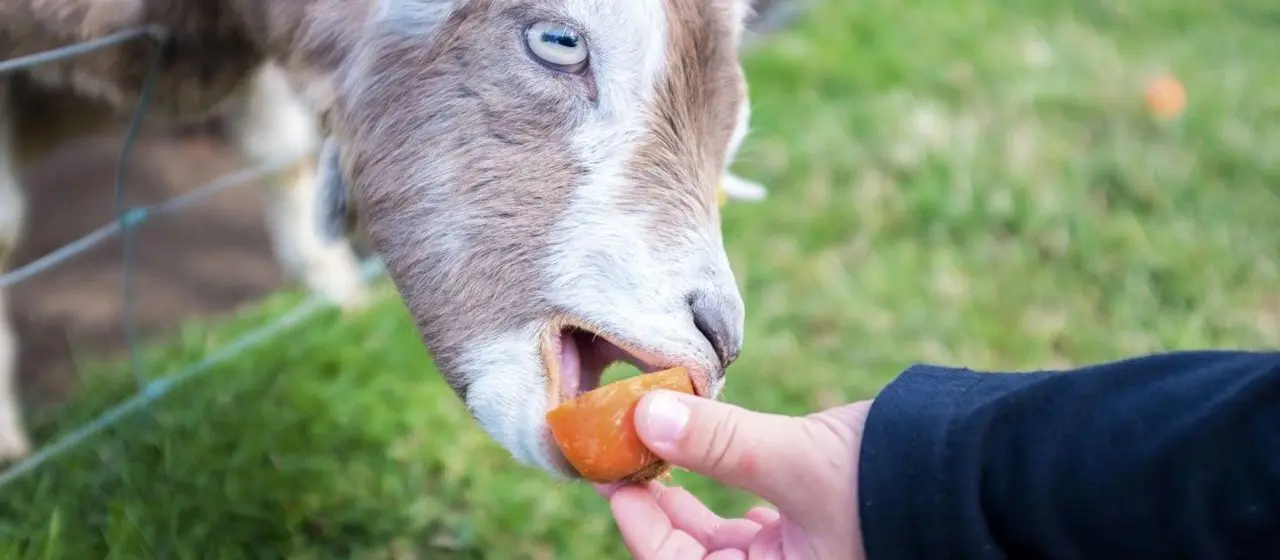 Swithens Farm photo 1
