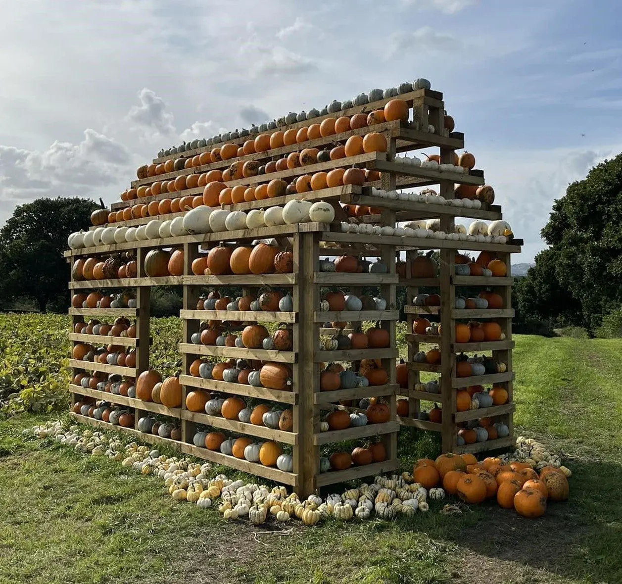 Kemps Farm (Horsforth P.Y.O.) photo 2