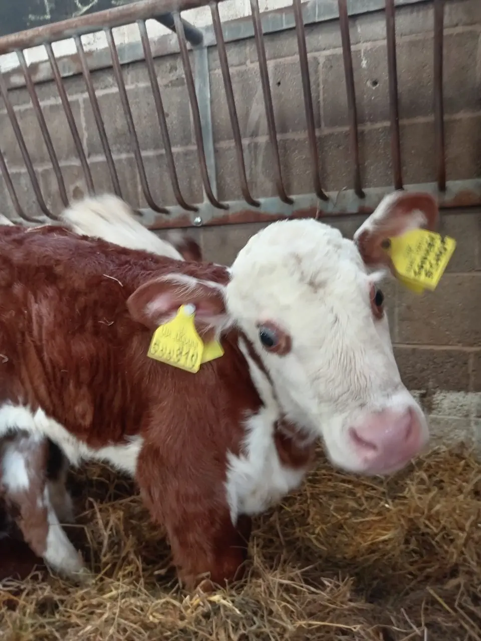 Wythenshawe Community Farm & Shop photo 1