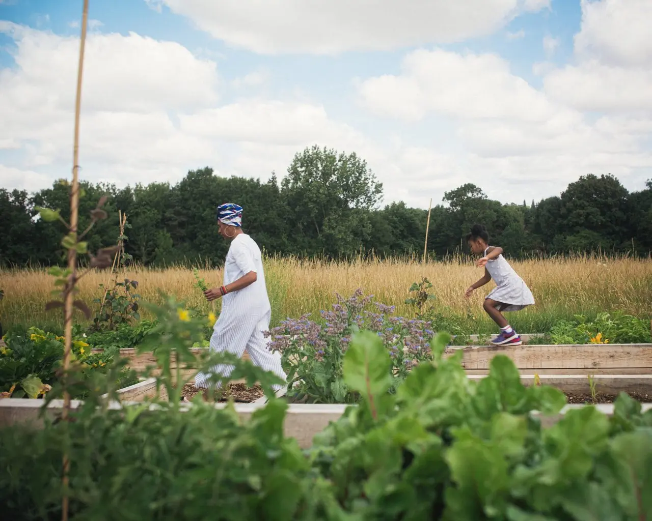 GROW Farm at The Totteridge Academy main photo