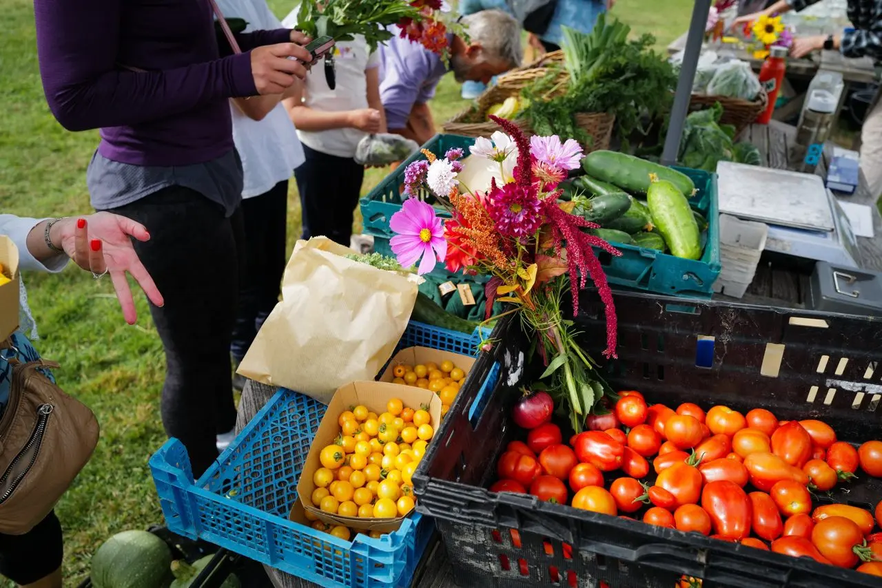 GROW Farm at The Totteridge Academy photo 1