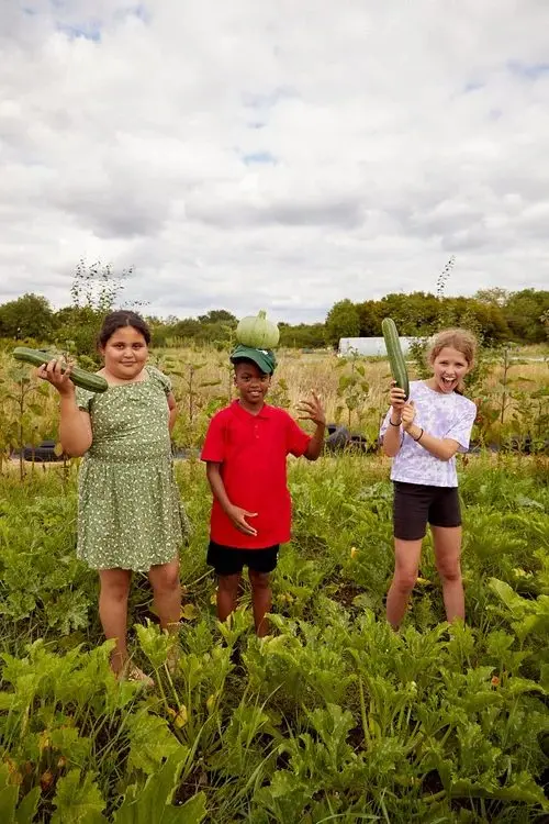 GROW Farm at The Totteridge Academy photo 3