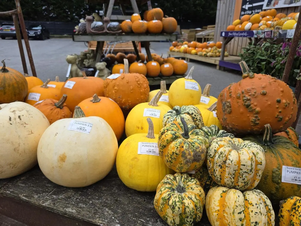 Nuyard Garden Centre photo 1