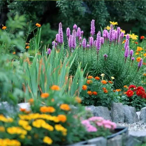 Cuckoo Bridge Nursery & Farm Shop photo 1