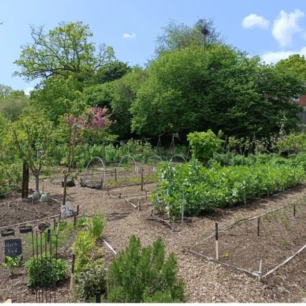 Aldermoor Community Farm photo 3