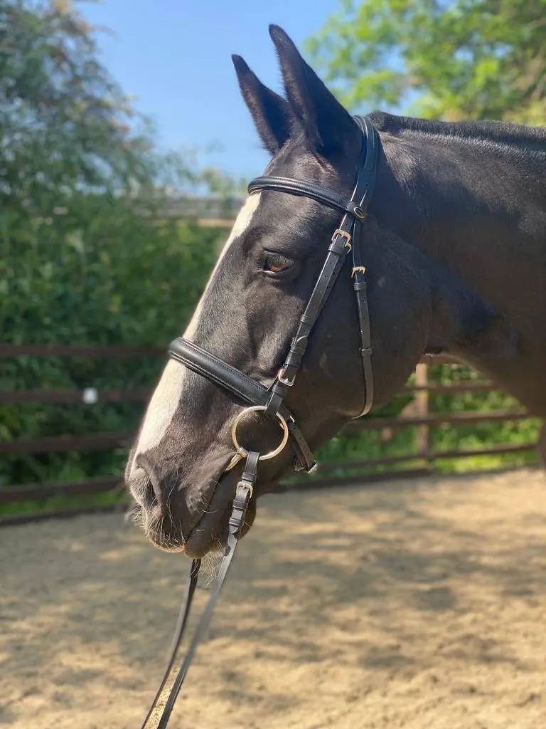 Deen City Farm and Riding School photo 4
