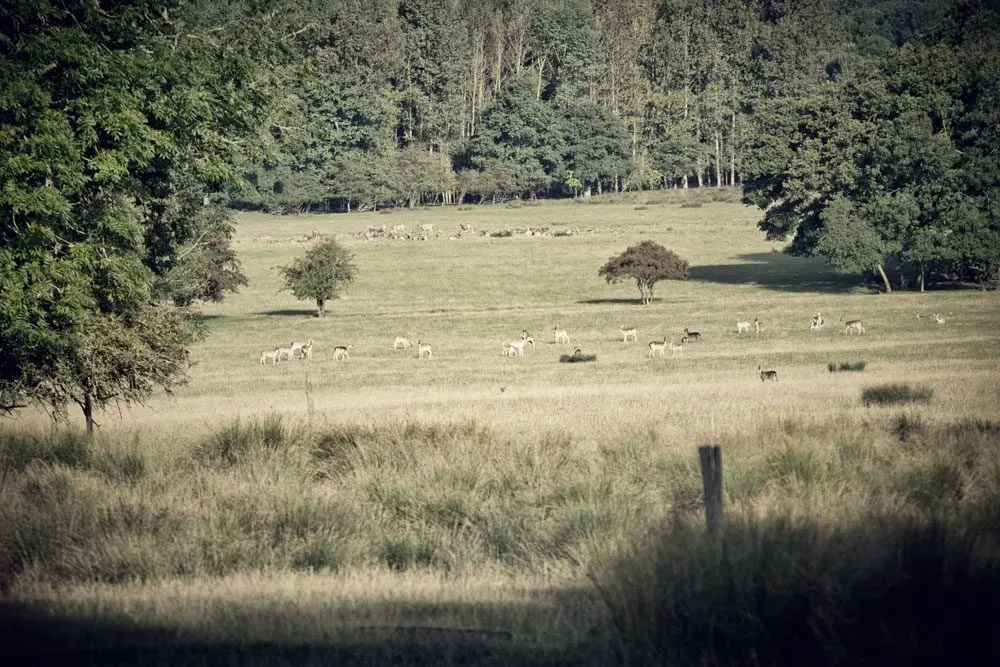 Chart Farm photo 2