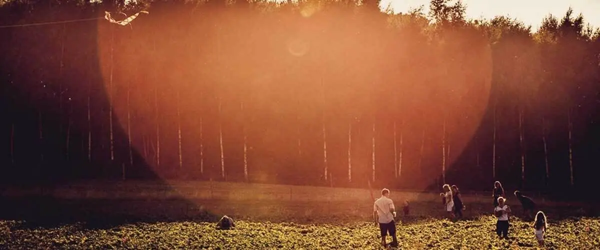 Stonepitts Farm photo 1