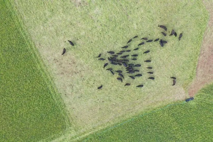 Wild & Rooted Farming photo 3