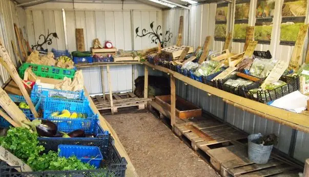 Greenbroom Farm photo 4