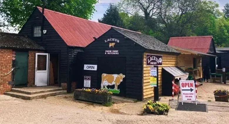 Lacey's Family Farm photo 1