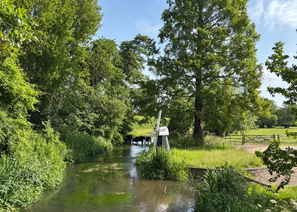 Castle Farm Shop (Castle Farm Kent)