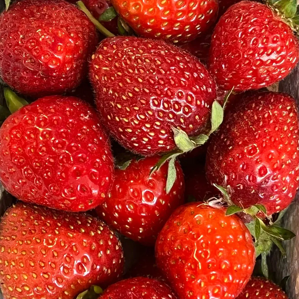 Groombridge Farm Shop photo 3