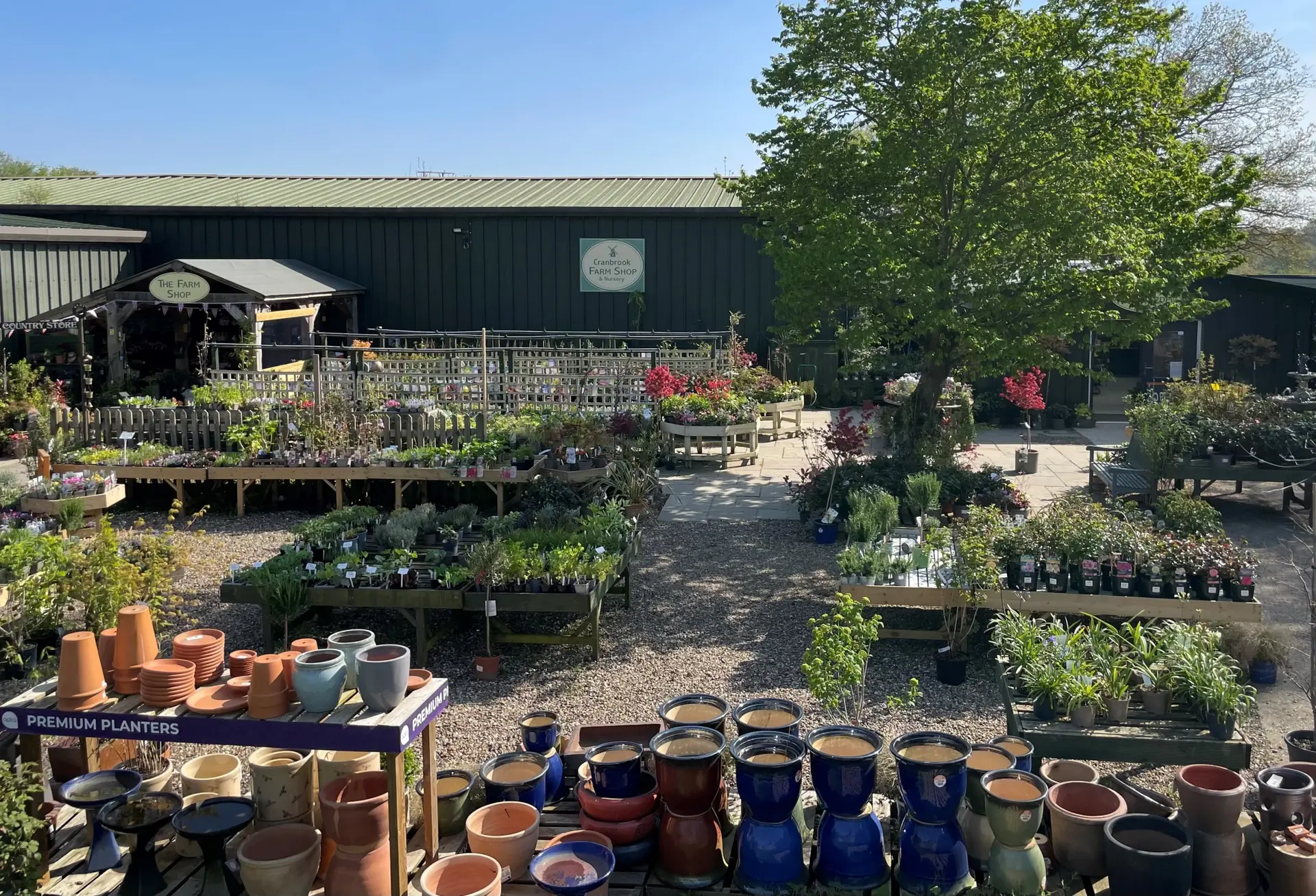 Cranbrook Farm Shop & Nursery photo 3
